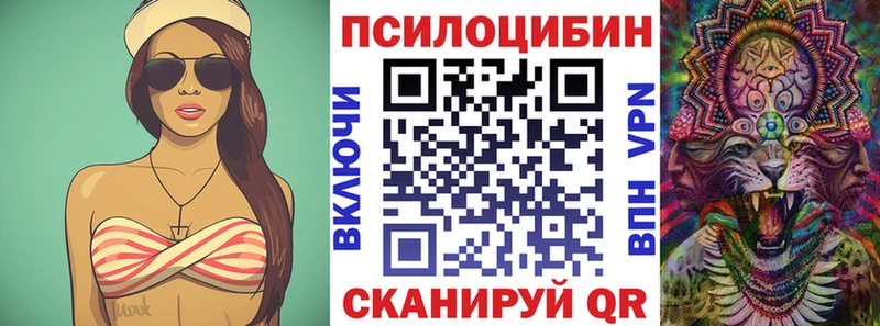 Галлюциногенные грибы Psilocybe  Купить закладки  Шадринск 