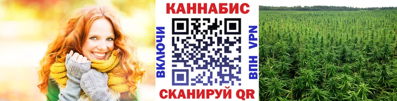Купить где  Шадринск  Шишки марихуана план 